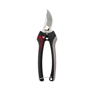Snips