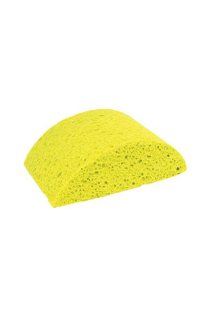 Turtleback Sponge