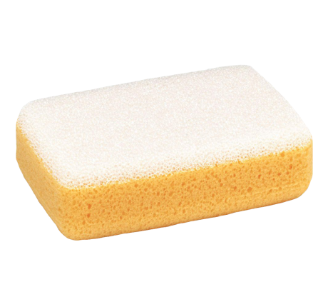 Large Scrub Sponge